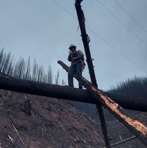 Meet your Posher, Cody